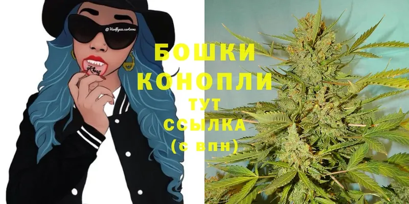 Канабис OG Kush  Муром 